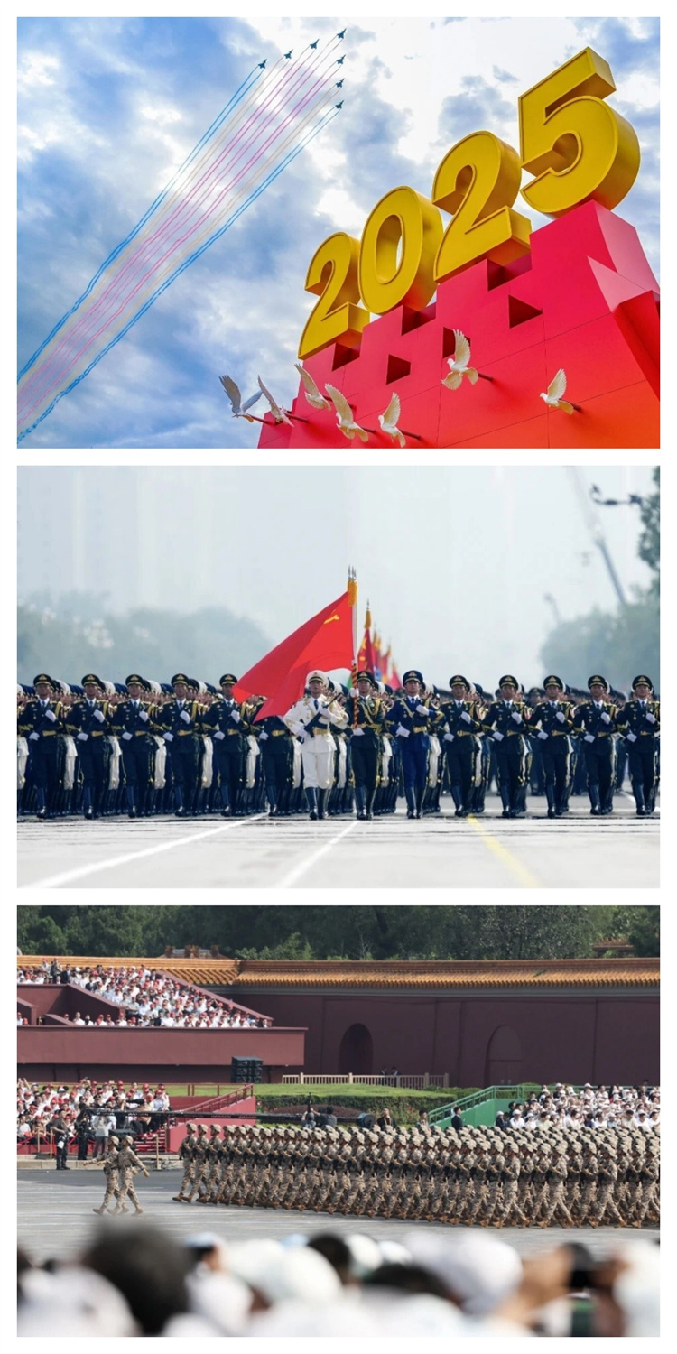 68b8e787a009c.jpg